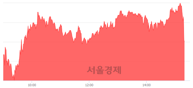 <유>서원, 현재가 5.59% 급락