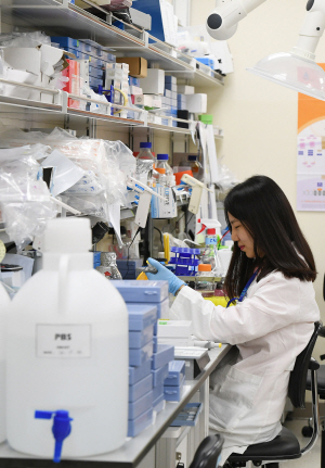 서울삼성병원 미래의학연구원 줄기세포재생의학연구소 연구원이 치료제 개발을 위해 줄기세포를 분석하고 있다. /오승현기자
