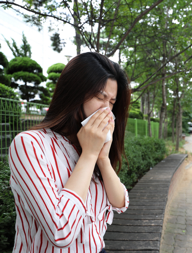 알레르기 비염 환자가 ‘잔인한 5월’을 보내지 않으려면 증상이 나타나기 1~2주 전부터 치료를 시작하는 게 좋다. /사진제공=고려대구로병원