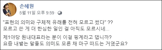 손혜원 의원 페이스북