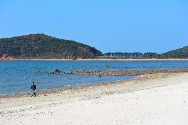 충남 태안의 병술만어촌체험휴양마을 전경. /사진제공=한국어촌어항공단