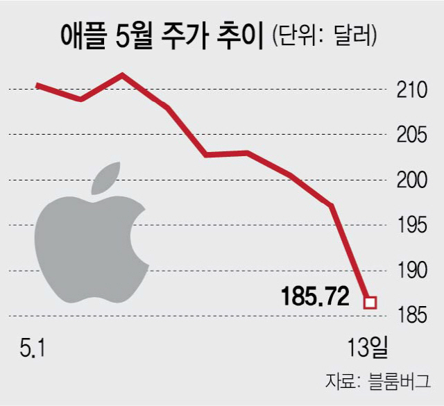 '애플 앱스토어 독점, 소비자가 소송 가능'