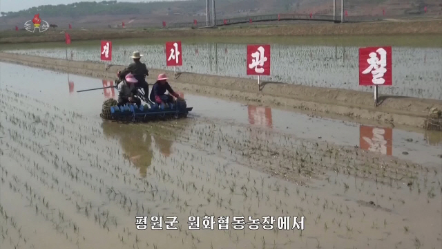 북한 평원군 원화리 농장에서 올해 첫 모내기가 시작됐다고 조선중앙TV가 11일 보도했다./연합뉴스