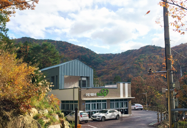 영남지역민들이 산림치유와 휴양 등을 체험하게 될 대운산치유의숲. 사진제공=한국산림복지진흥원