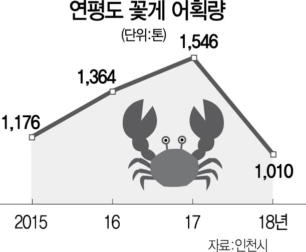 인천 '꽃게' 실종사건…이상수온에 작년보다 어획량 60% 뚝