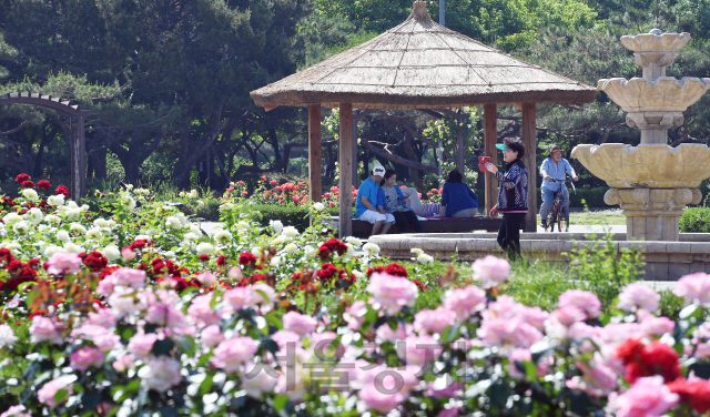 서울의 낮 기온이 30℃까지 오르는 등 더위가 이어진 26일 서울 광진구 뚝섬유원지 장미원에서 나들이객들이 원두막 그늘에서 더위를 식히고 있다./오승현기자 2019.5.26