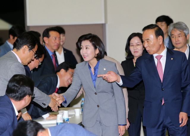 28일 경기도 고양 일산 킨텍스 제2전시장에서 열린 ‘무분별한 신도시 지정, 무엇이 문제인가’ 긴급 현장 토론회에서 나경원 자유한국당 원내대표가 참석자들과 인사하고 있다. /연합뉴스