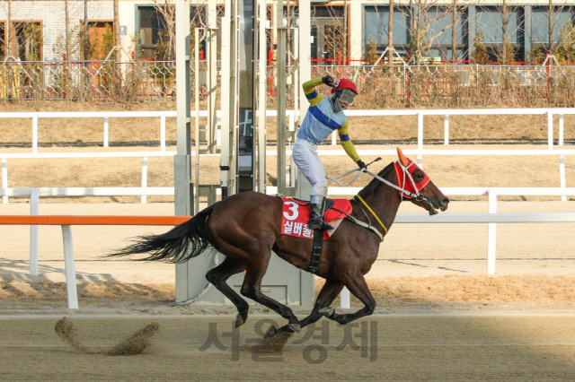 지난 3월 서울마주협회장배에서 1위로 결승선 통과하는 실버울프. /사진제공=한국마사회