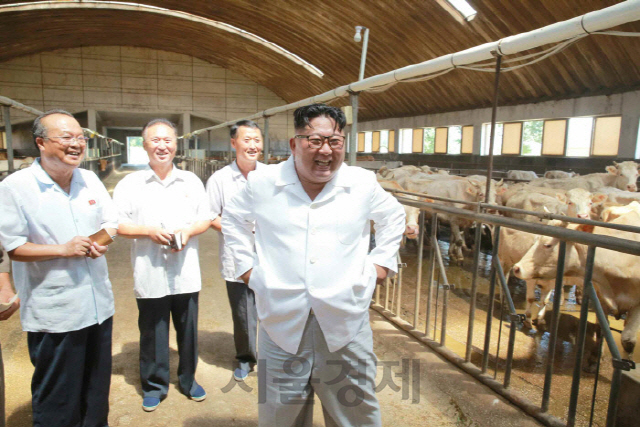 김정은 북한 국무위원장이 지난 해 8월 평안남도 운곡지구종합목장을 시찰하고 있다./연합뉴스