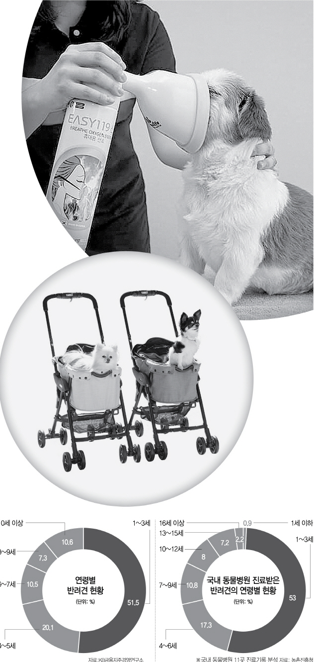 반려동물 전용 휴대용 인공호흡기(위쪽 사진)와 반려동물 전용 유모차(아래쪽 사진). /펫후라이프·콤펫 홈페이지