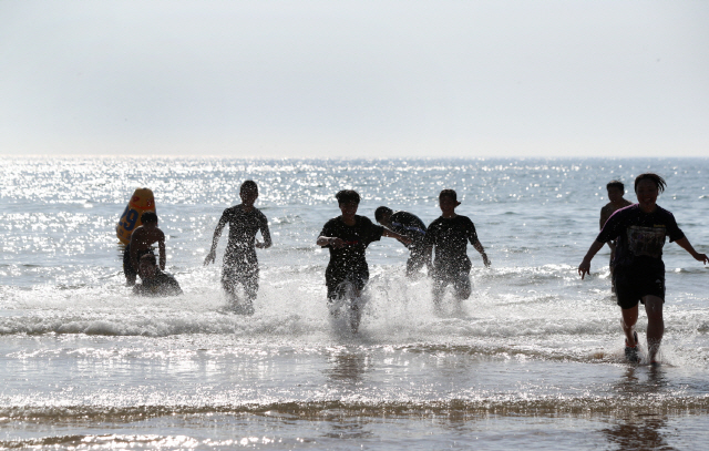 1일 충남 태안군 만리포해수욕장을 찾은 피서객들이 바다에서 즐겁게 놀고 있다. 이날 개장한 만리포해수욕장은 오는 8월 18일까지 운영된다. /연합뉴스