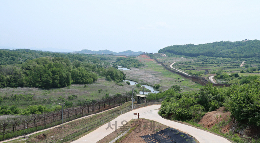 DMZ 평화의 길 철원구간의 공작새능선 조망대에서 바라본 풍경. 철책선 왼쪽이 비무장지대다. /사진제공=행안부