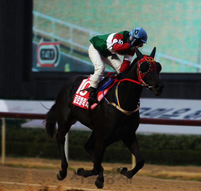 글로벌축제  /사진제공=한국마사회