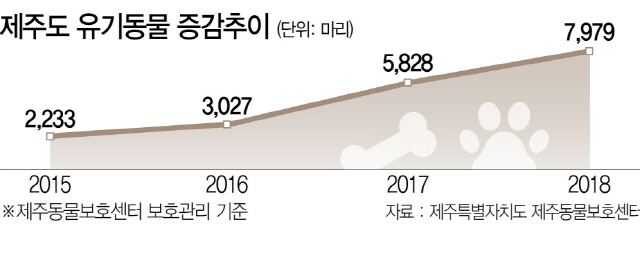 [토요워치]작년 총 7,979마리 유기…인구 15배 서울과 엇비슷