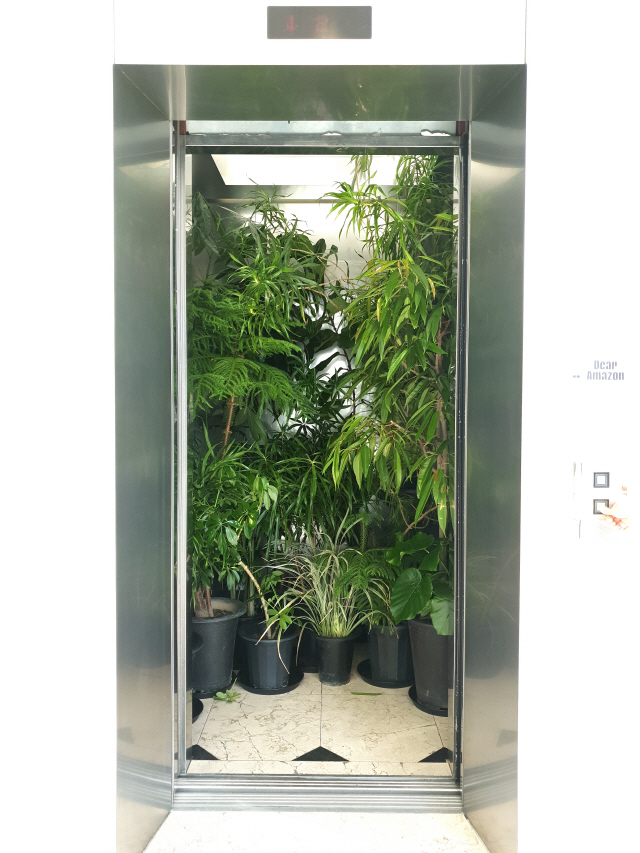 작가그룹 파도식물의 ‘그린허그’는 일민미술관 방문객들이 엘리베이터를 이용할 때 비로소 만나게 되는 작품이다.