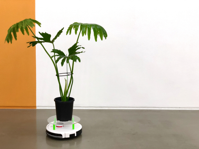 파도식물의 ‘전시를 관람하는 식물들’은 로봇 청소기 위에 놓인 화분들이 전시장을 돌아다니는 설치작품이다.