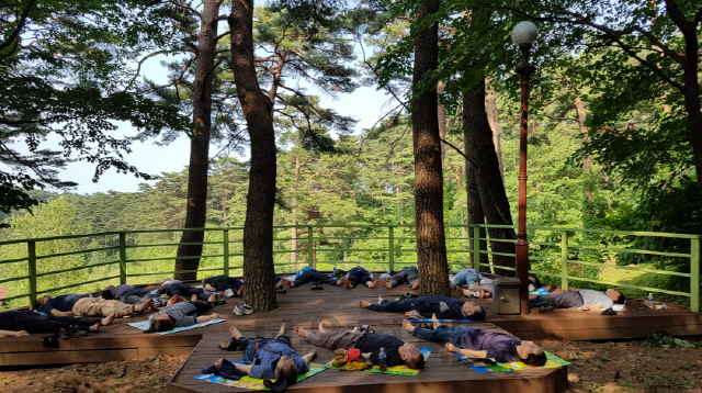 강원도 강릉 국립대관령자연휴양림 금강송 숲에서 치유프로그램이 진행 중이다. 사진제고=국립자연휴양림관리소