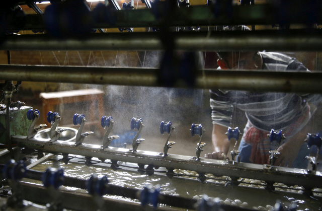 인도 카슈미르 솔리나 지역에 있는 실크 공장에서 한 노동자가 누에고치로부터 실크를 뽑아내고 있다. /EPA연합뉴스