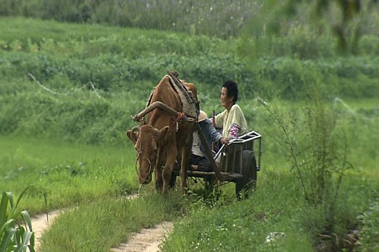 '워낭소리' 할머니, 그리운 할아버지와 소 곁으로…18일 별세