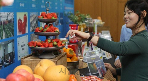 “미·중 무역전쟁, 한국 농식품 경쟁력 강화할 수도”