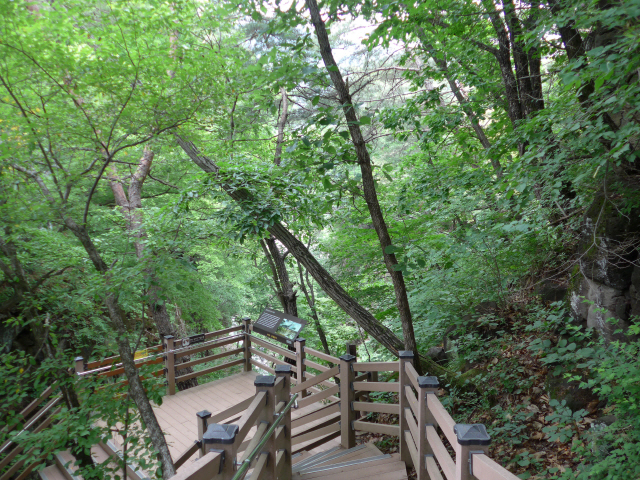 한탄강 지질공원에서 비둘기낭폭포로 이어지는 나무 데크길.