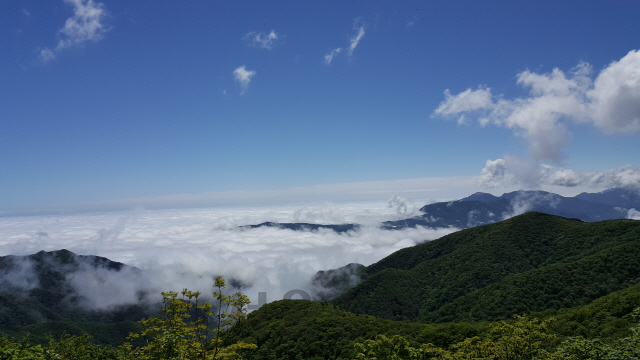 설악산 향로봉