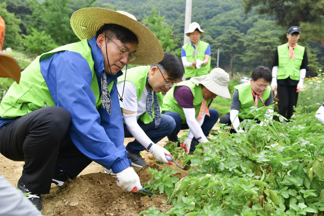 지난 26일 경기 의왕시 원터마을에서 이대훈(왼쪽) NH농협은행장과 농협은행 임직원들이 농촌일손을 돕고 있다./사진제공=농협은행