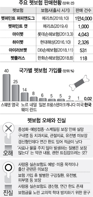 [펫코노미] 주인님, 요즘 보험은 치과치료·유전병도 보장된대요