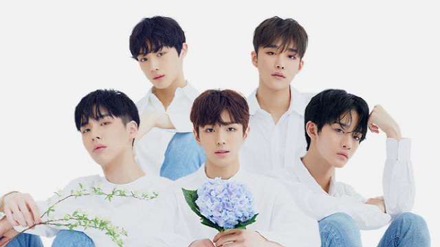 Cix씨아이엑스 23일 정식 데뷔만능캐x거대팬덤x초호화 지원 사격 서울경제 