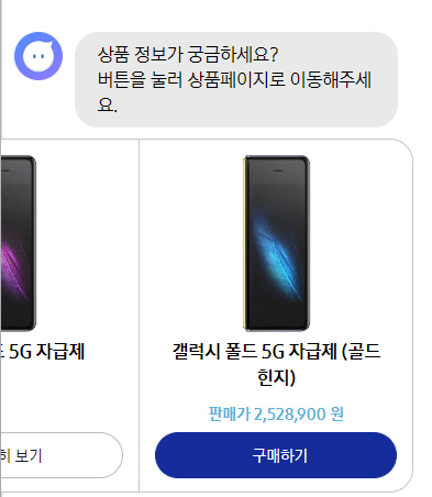 갤럭시 폴드 판매가가 표시된 삼성닷컴 챗봇 서비스 화면./사진제공=인터넷 커뮤니티