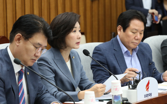 일본·韓정부 동시비판한 나경원 “긴급 한일의회 교류 추진”