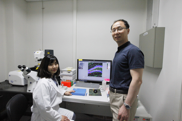 뇌 질환이 만성 스트레스로 인해 세포가 내부의 물질을 먹어치우며 자신을 보호하는  ‘오토파지(Autophagy)’에 의해 해마 신경줄기세포가 죽기 때문이라고 밝힌 유성운(오른쪽) 대구경북과학기술원(DGIST) 교수와 정성희 석박사통합과정생.  /사진제공=DGIST