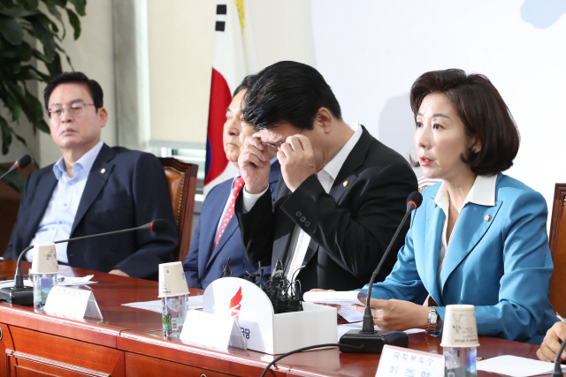 나경원 한국당 원내대표가 10일 국회에서 열린 원내대표·중진의원 연석회의에서 발언하고 있다./연합뉴스