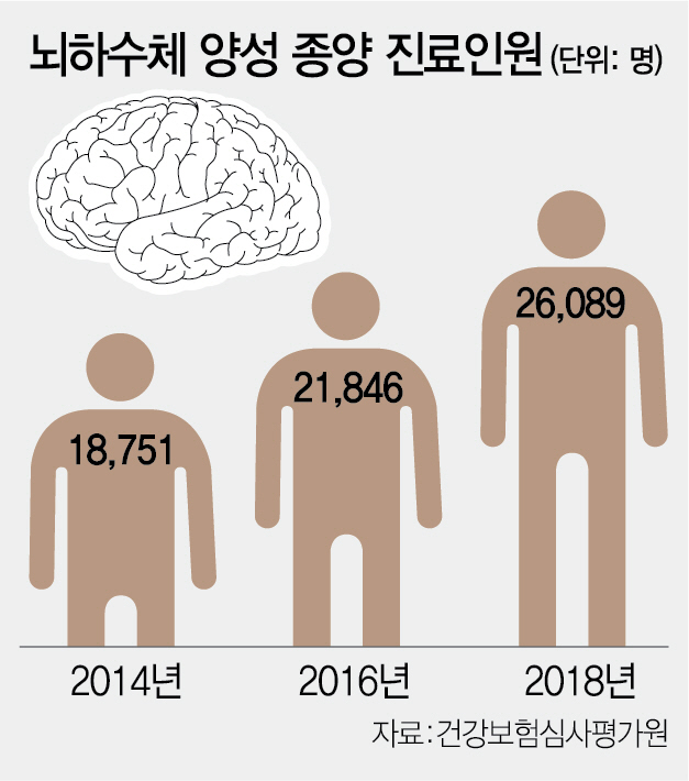 1115A34 뇌하수체