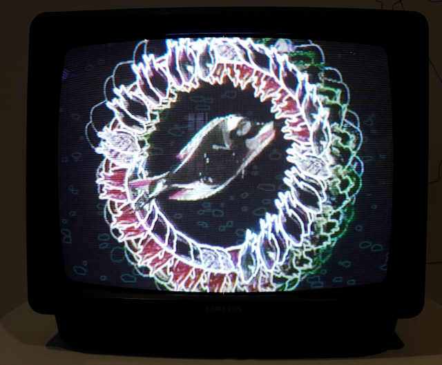백남준과 폴 게린이 함께 제작한 ‘다윈’의 29분짜리 영상 중 한 장면. 이 영상은 백남준의 1991년작 ‘다윈’에 사용됐다. /사진제공=백남준아트센터