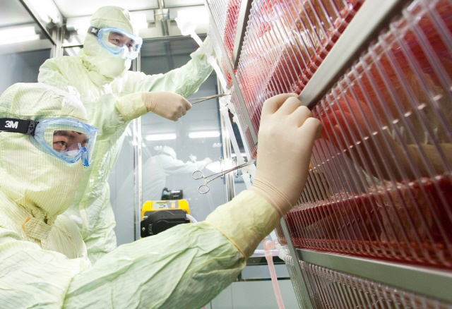 SK바이오사이언스 연구원들이 안동 L하우스에서 대상포진백신 세포배양 공정을 진행하고 있다. /사진제공=SK바이오사이언스