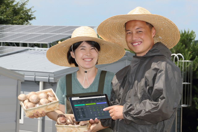 KT, “버섯재배·발전 동시에”…영농 태양광 사업 본격화
