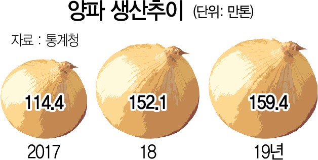 풍년의 역설…양파·마늘값 더 내리나