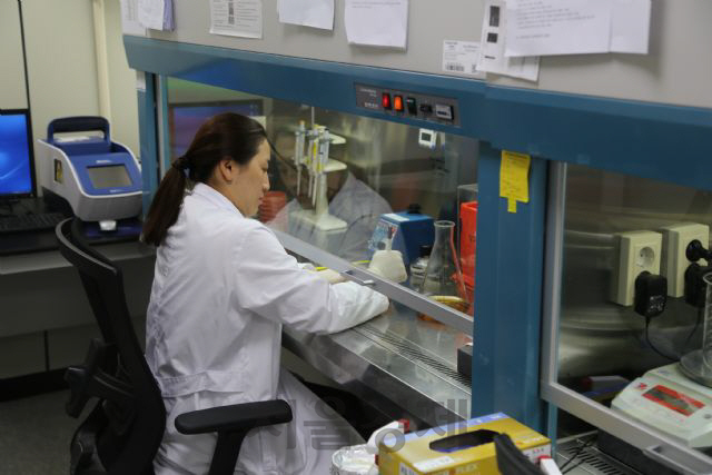 세계김치연구소의 연구원이 100도 트루 스팀 기능의 살균 효과를 확인하기 위해 실험을 진행하고 있다. /사진제공=LG전자
