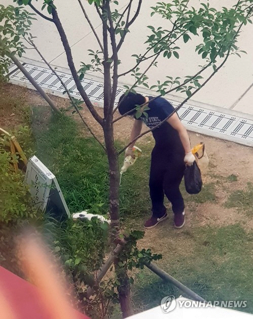 현장 CCTV에 잡힌 고양이 살해범 추정 남성이 나무에 독약을 살포하는 모습. /연합뉴스