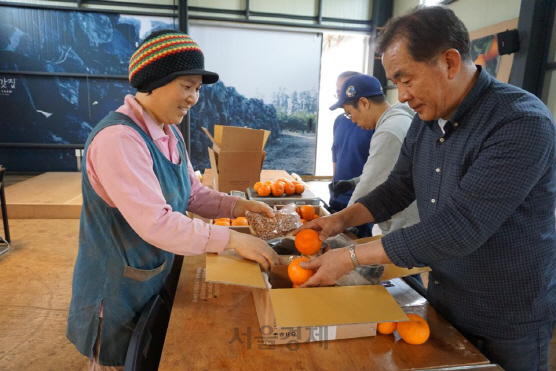 제주 서귀포시에서 농산물을 판매하는 마을기업 ‘무릉외갓집’ 관계자들이 상품 배송을 위한 포장을 하고 있다.  /사진제공=행안부