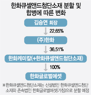 3115A13 한화큐셀앤드첨단소재 분할 및