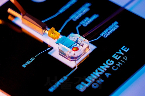 블링킹 아이온어칩(blinking Eye-on-a-chip). /사진제공=Jeongyun Seo and Dongeun Huh at the University of Pennsylvania