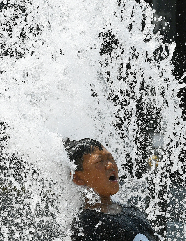 폭염이 계속되고 있는 6일 서울광장 바닥분수에서 어린이들이 물장난을 치며 더위를 식히고 있다./오승현기자 2019.8.6