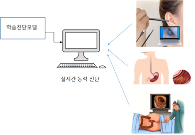 내시경 데이터 활용 인공지능(AI) 진단 모식도. /한국과학기술정보연구원