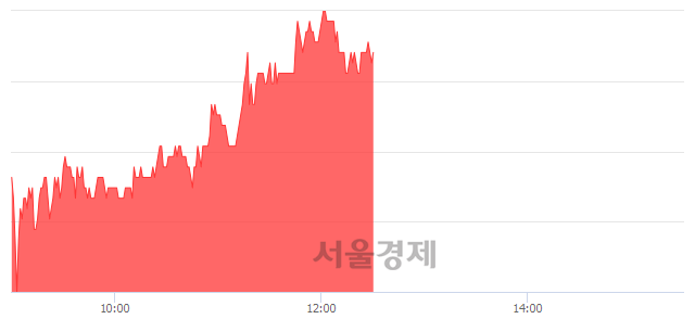 <유>용평리조트, 매수잔량 342% 급증