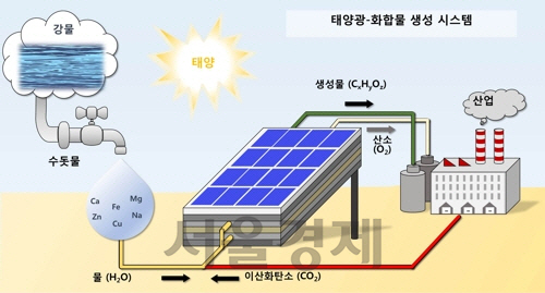 태양광과 연계한 전기화학적 이산화탄소 전환 시스템. /사진제공=KIST