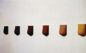 1993년 휘트니비엔날레 서울에 전시된 바이런 킴의 ‘피부색에 따른 복부 그림’