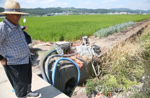 경북 포항시 남구 연일읍의 농민이 8월1일 양수기를 이용해 마른 논에 물을 퍼 올리고 있다. / 연합뉴스