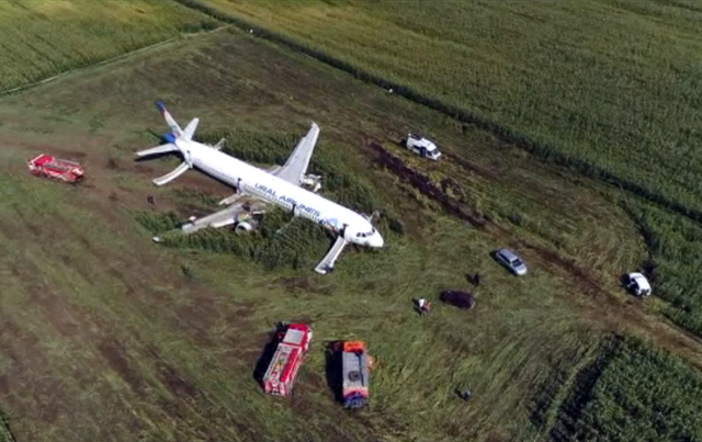 러시아 우랄항공 소속 에어버스 A321 여객기가 15일(현지시간) 모스크바 외곽 라멘스코예 인근 옥수수밭에 비상착륙해 있다. /AP연합뉴스